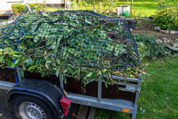 Best Recycling Services for Junk  in Norton Center, MA
